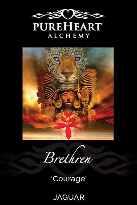 Divine Masculine Trio