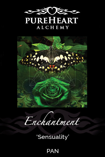 Enchantment ~ Engaging with the Sacred Language of Nature