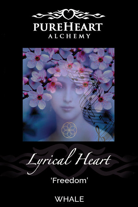 Lyrical Heart ~ Poetic Voice of our Unique Song