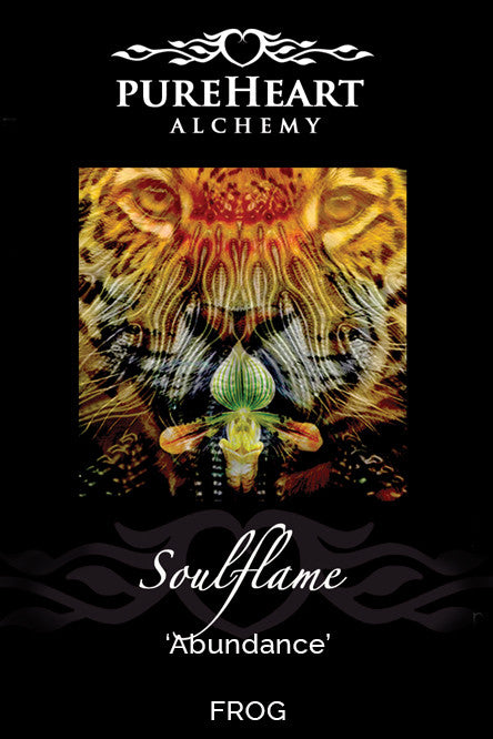 Soulflame ~ Firing the Furnace of Inner Optimism