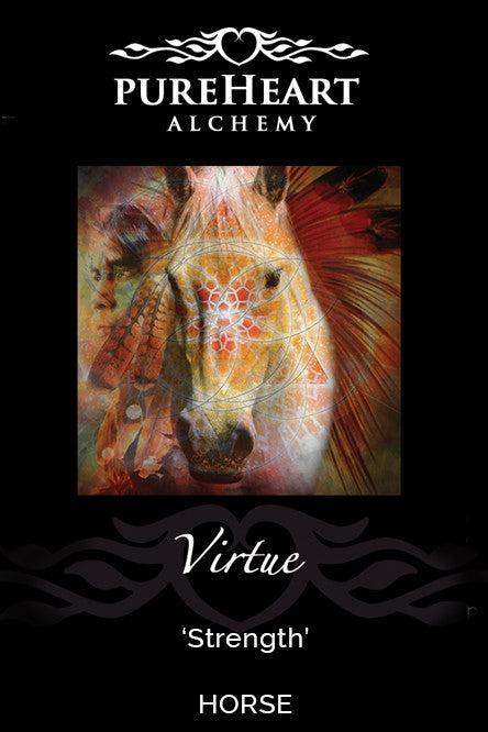 Virtue ~ Gentle-Breath of the Warrior's Heart