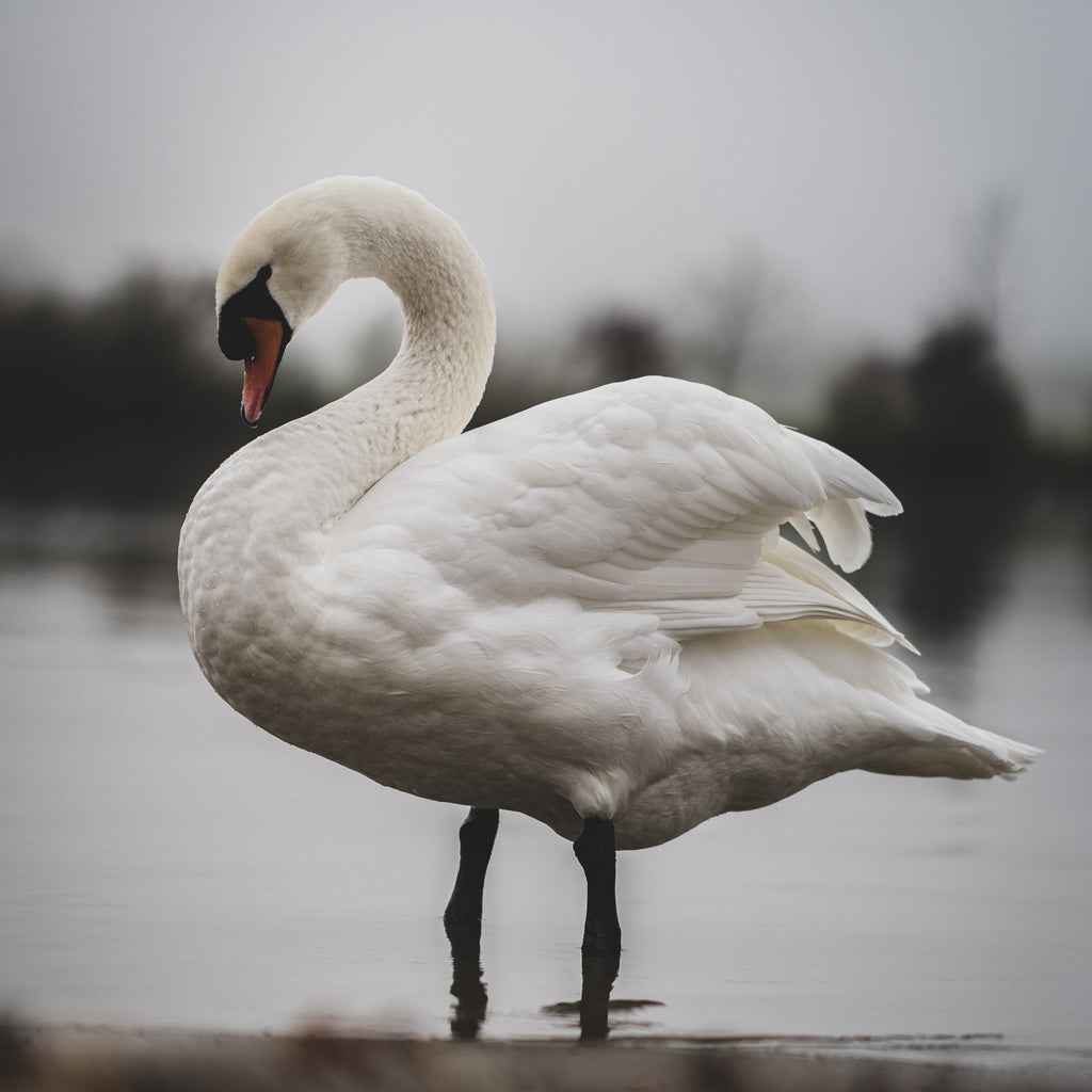 Enlighten`me ~ Deepening the Rhythms of our Inner Knowing