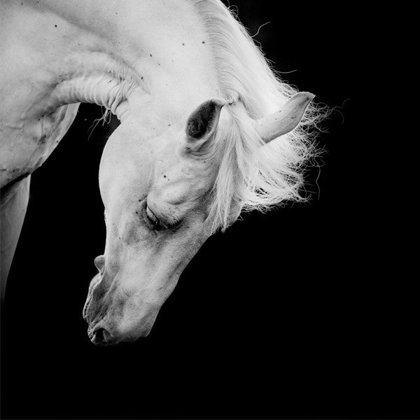 Virtue ~ Gentle-Breath of the Warrior's Heart