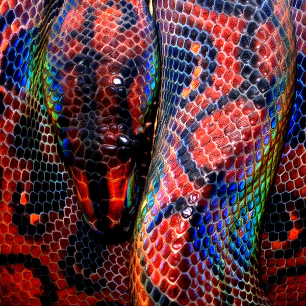 Rainbow Bridge ~ Artfully Expressing our Indigenous Identity