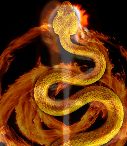 Tantric Rose ~ Merging our Sacred Sanctum with Purity