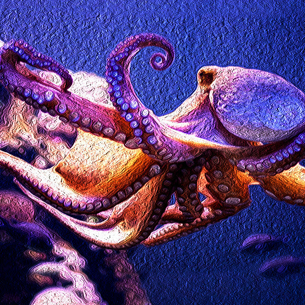 Wild Divine ~ Sacred Mystery of the Divine Feminine